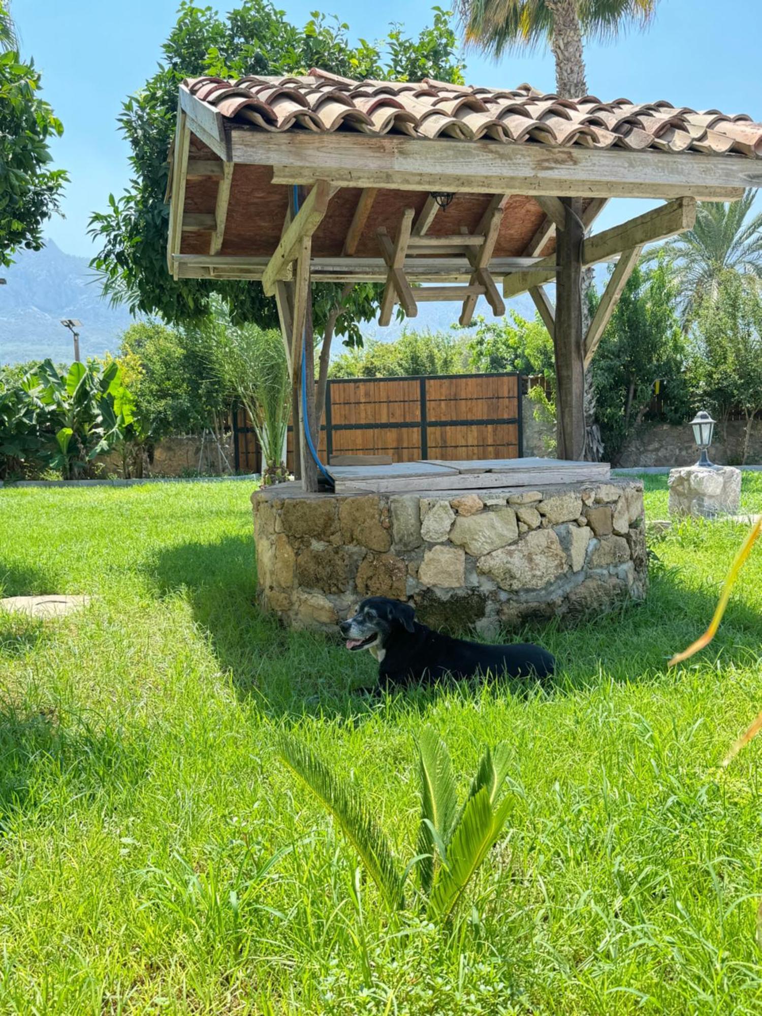 The Horse Farm Hotel Agios Georgios  ภายนอก รูปภาพ
