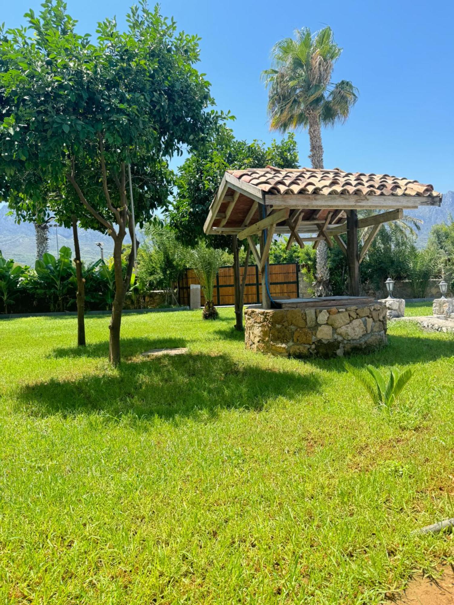 The Horse Farm Hotel Agios Georgios  ภายนอก รูปภาพ