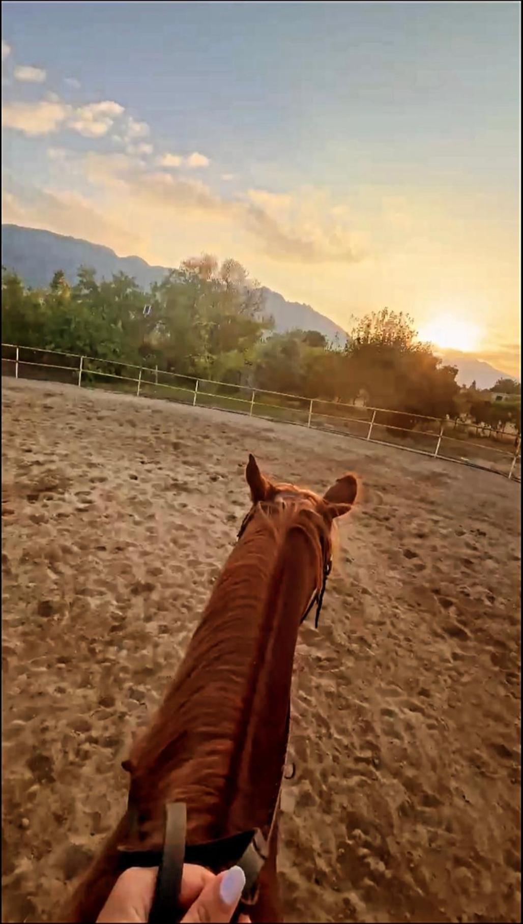 The Horse Farm Hotel Agios Georgios  ภายนอก รูปภาพ